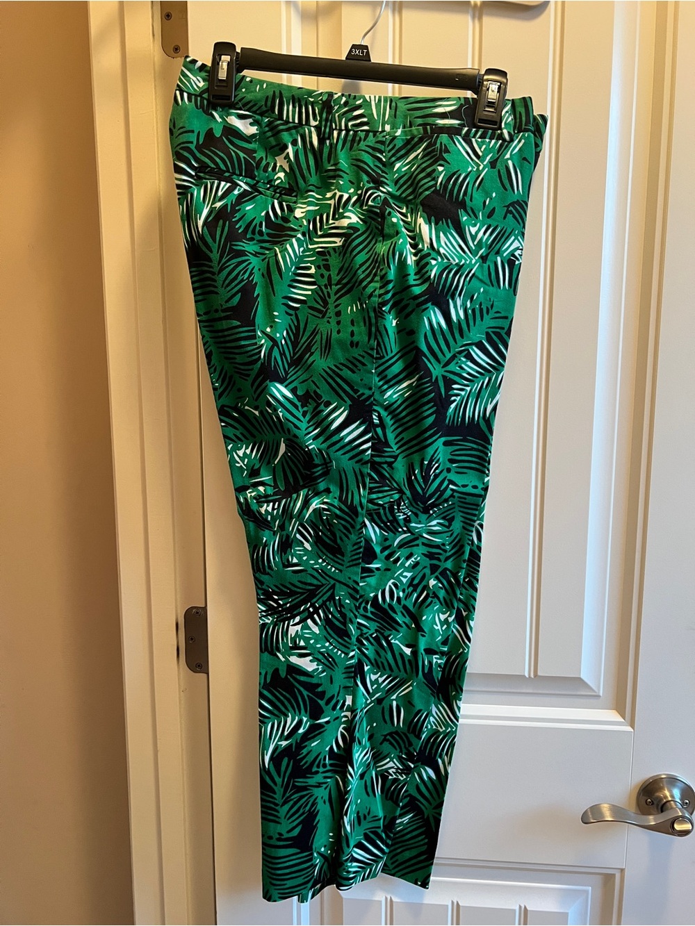 Roz & Ali Green and Black Tropical Floral Pants Sz 14
